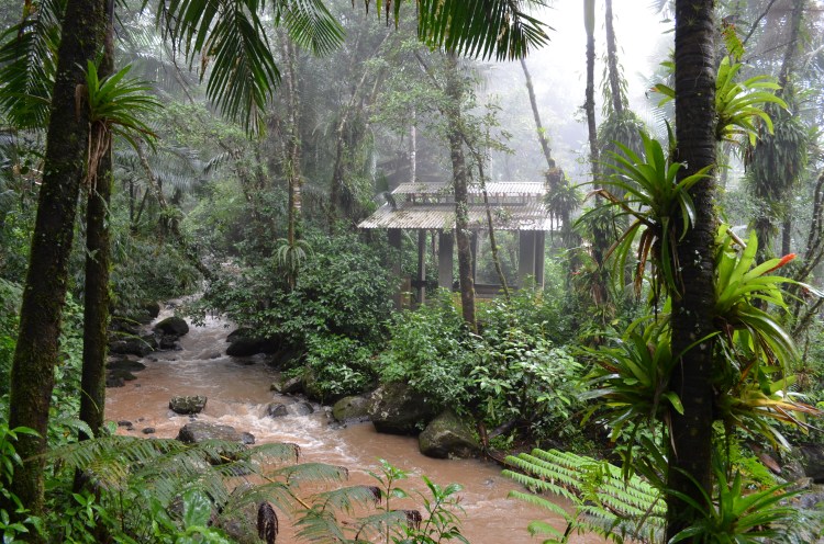 Photo belongs to Gabriela Yareliz