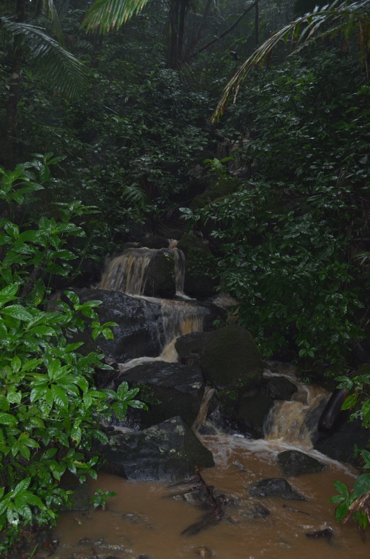 Photo belongs to Gabriela Yareliz