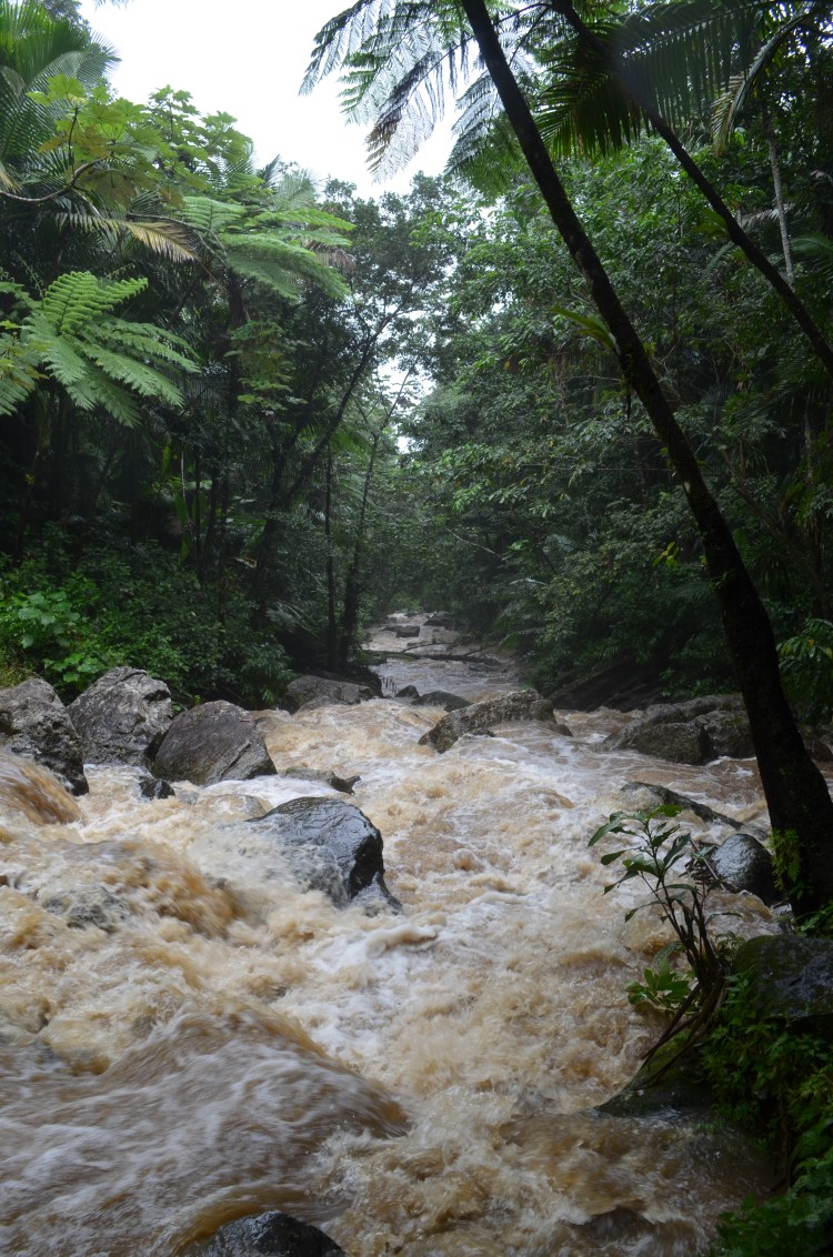 Photo belongs to Gabriela Yareliz