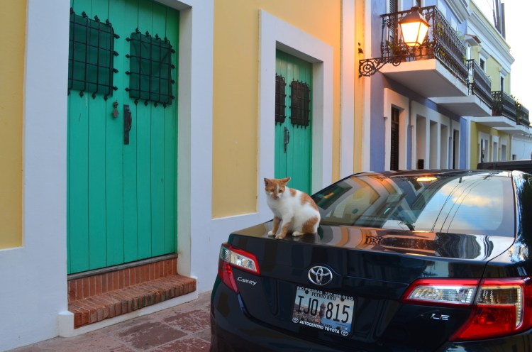 Photo belongs to Gabriela Yareliz