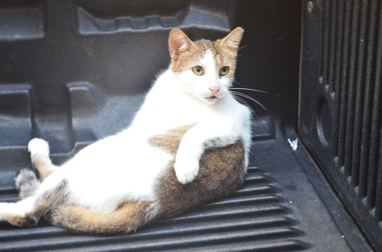 Photo belongs to Gabriela Yareliz