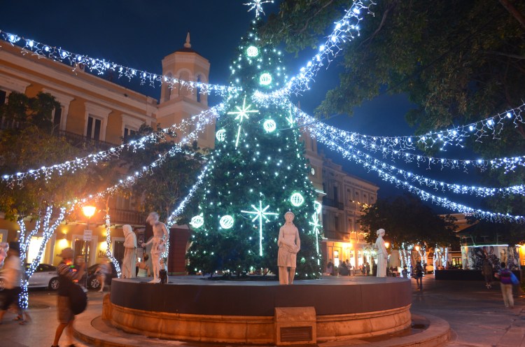 Photo belongs to Gabriela Yareliz