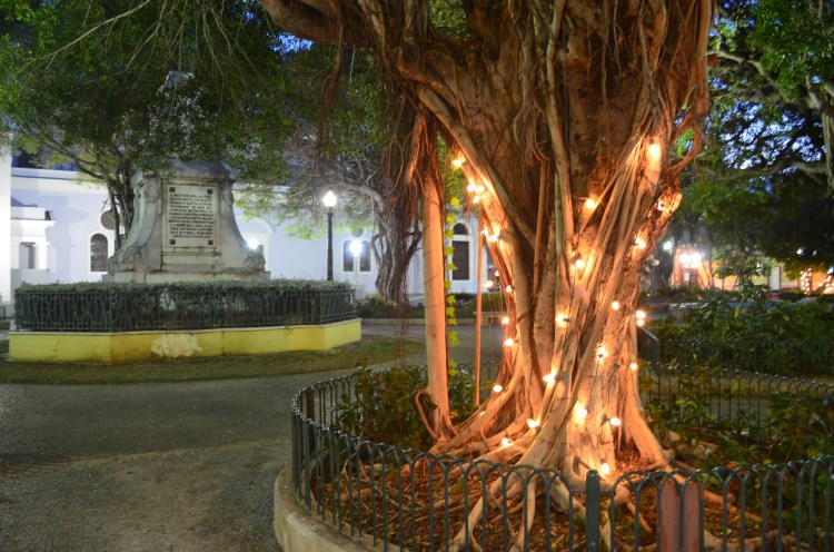 Photo belongs to Gabriela Yareliz