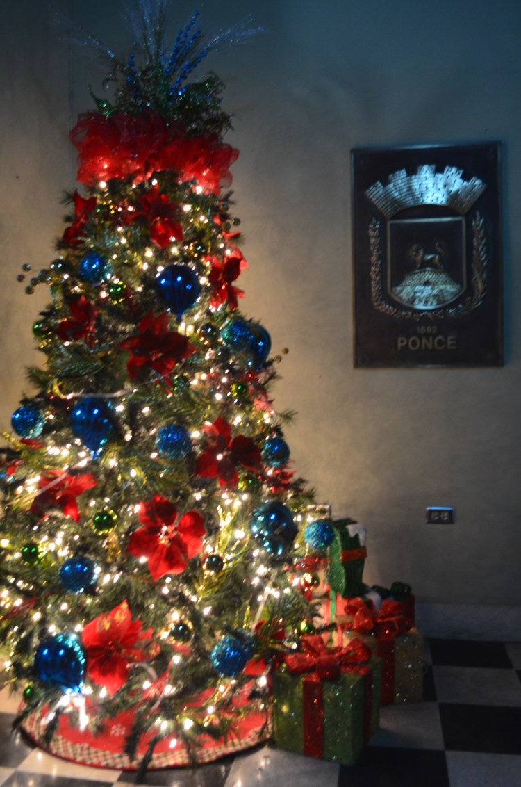 Photo belongs to Gabriela Yareliz