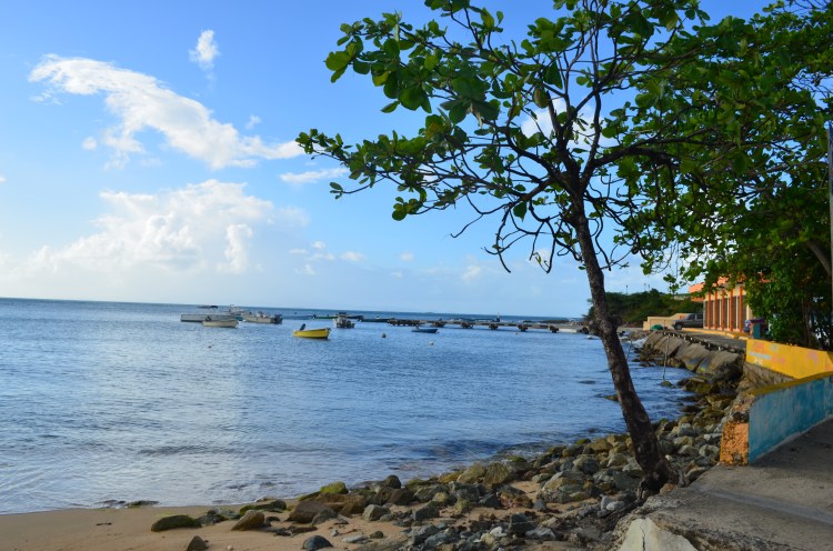 Photo belongs to Gabriela Yareliz