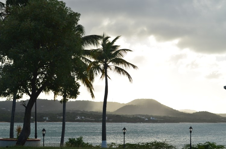 Photo belongs to Gabriela Yareliz