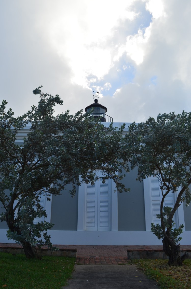 Photo belongs to Gabriela Yareliz