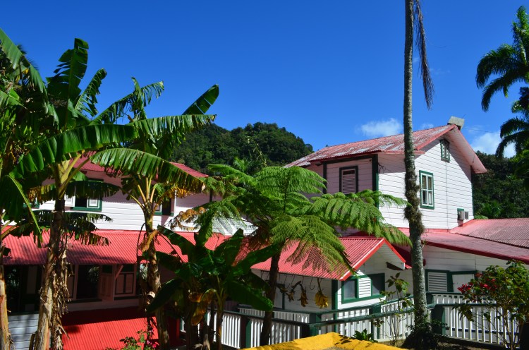 Photo belongs to Gabriela Yareliz