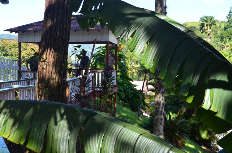 Photo belongs to Gabriela Yareliz