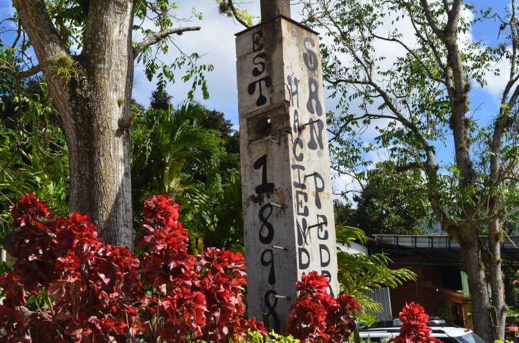 Photo belongs to Gabriela Yareliz