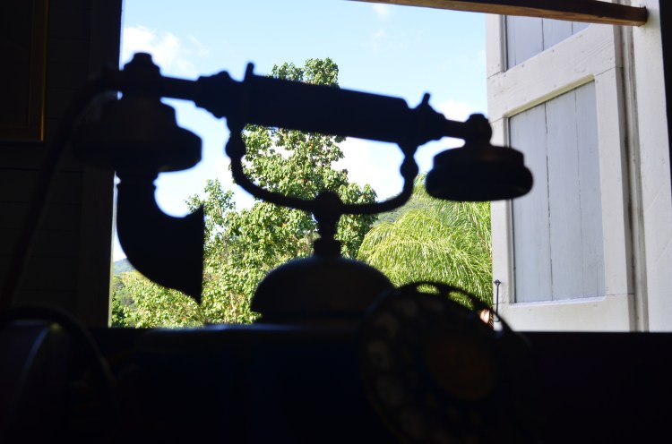 Photo belongs to Gabriela Yareliz