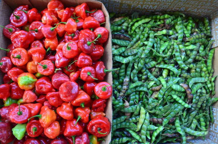 Photo belongs to Gabriela Yareliz