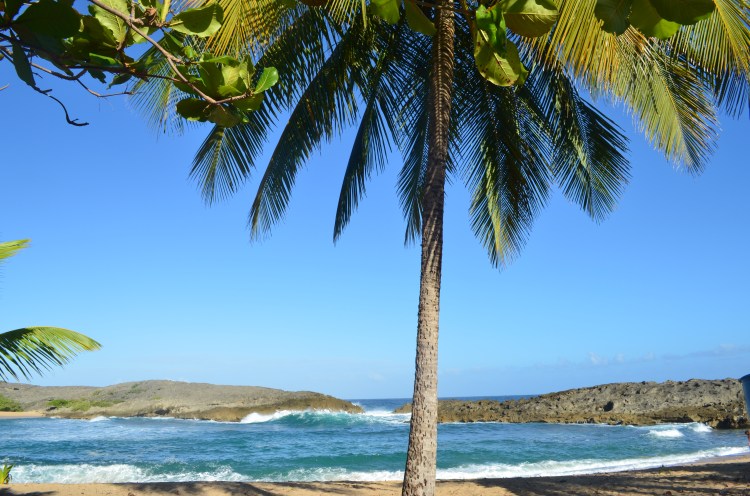 Photo belongs to Gabriela Yareliz