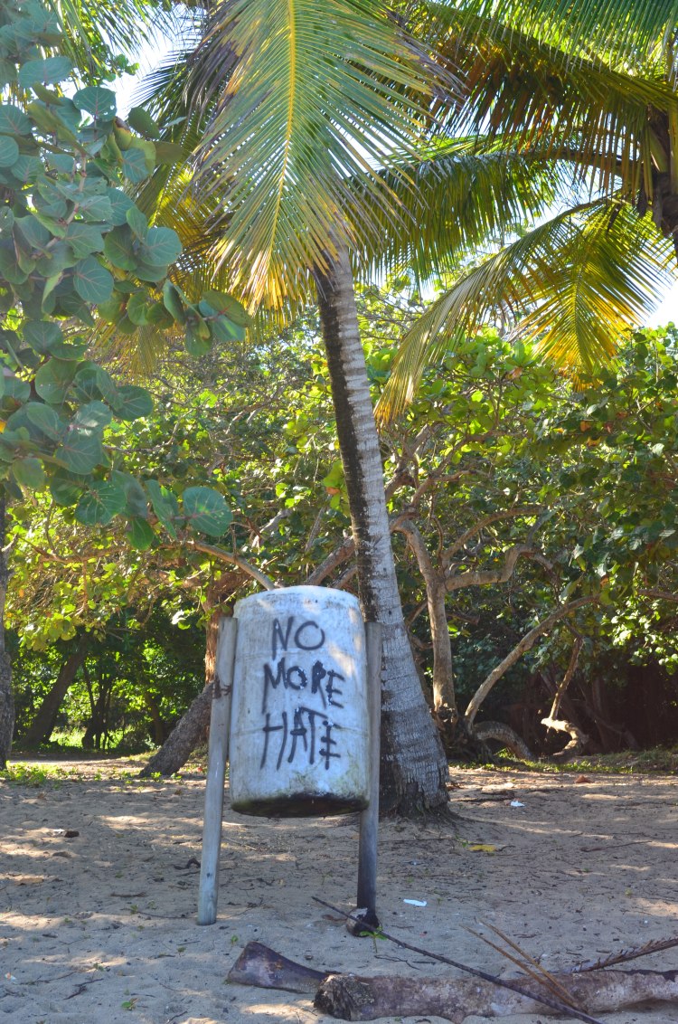 Photo belongs to Gabriela Yareliz